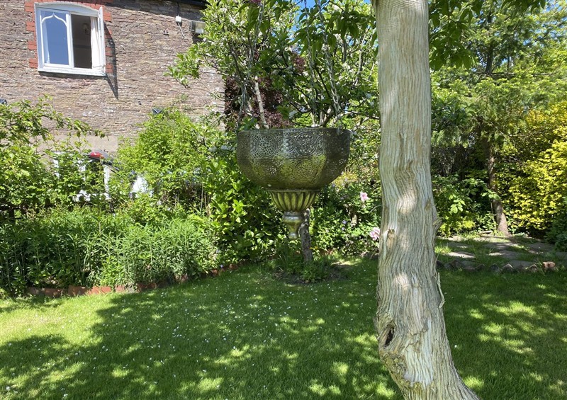 The garden (photo 5) at Cefn Campstone, Llanvihangel Crucorney near Abergavenny