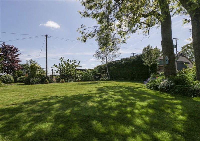 The garden in Cefn Campstone (photo 2) at Cefn Campstone, Llanvihangel Crucorney near Abergavenny