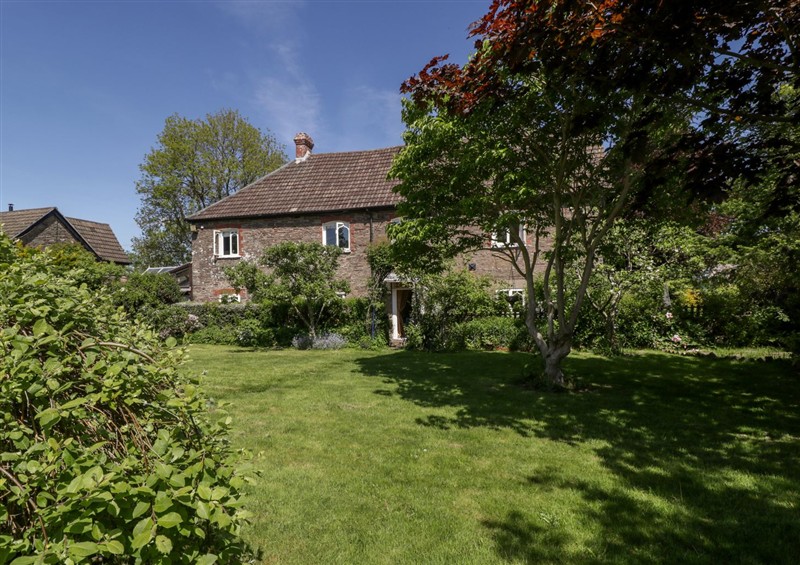 This is the garden at Cefn Campstone, Llanvihangel Crucorney near Abergavenny