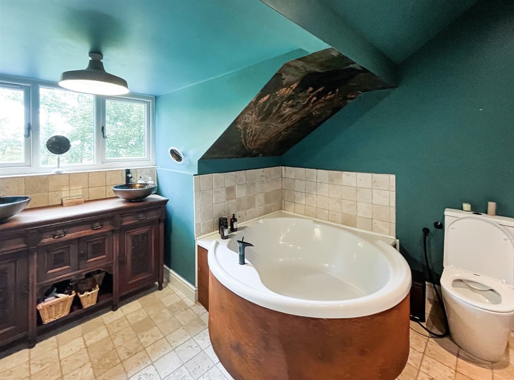 Bathroom (photo 3) at Cefn Hir Fynydd in Corwen, Clwyd