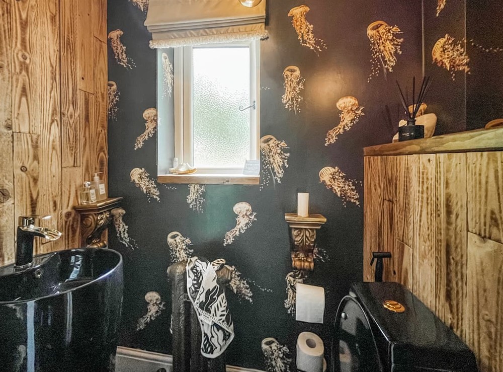 Bathroom (photo 4) at Cefn Hir Fynydd in Corwen, Clwyd