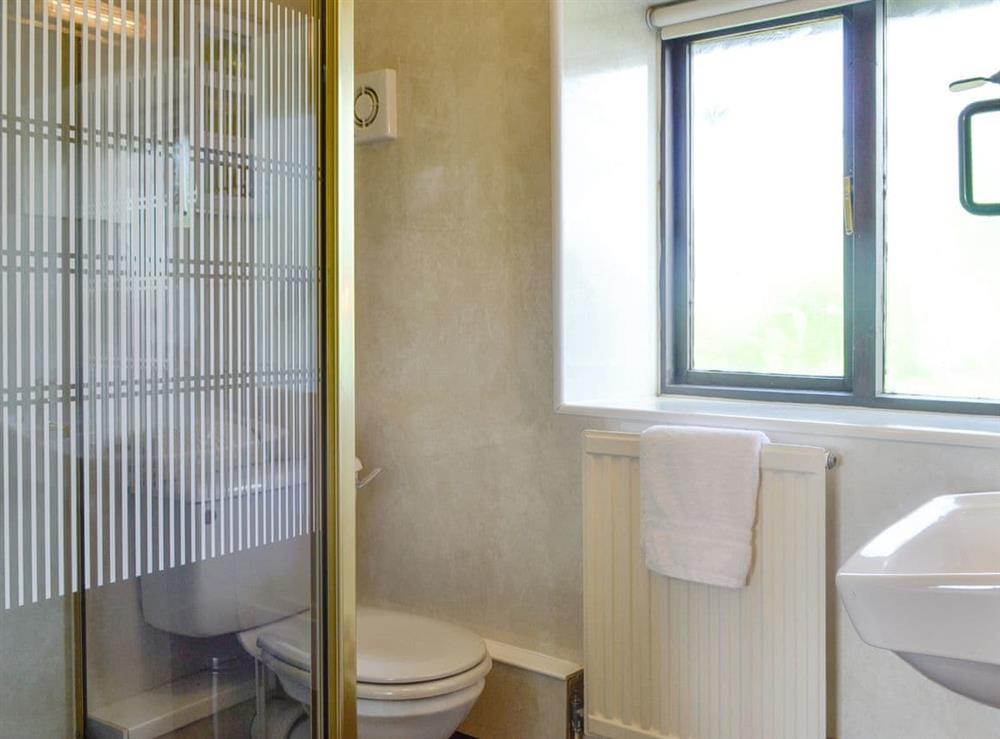 En-suite shower room at Woodland View, 