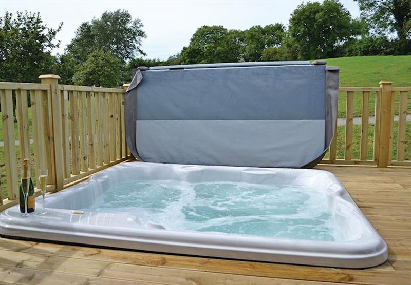 Hot tub in Orchard at Celtic Escapes in Narberth, South Wales