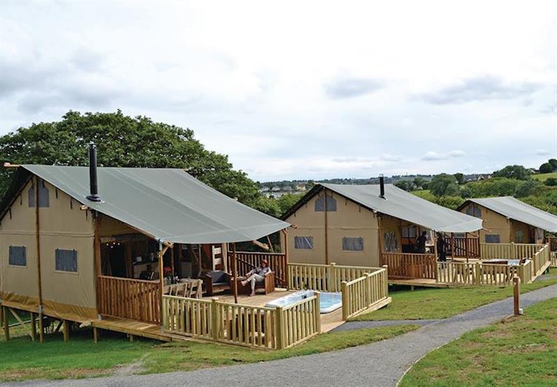 The Orchard at Celtic Escapes in Narberth, South Wales