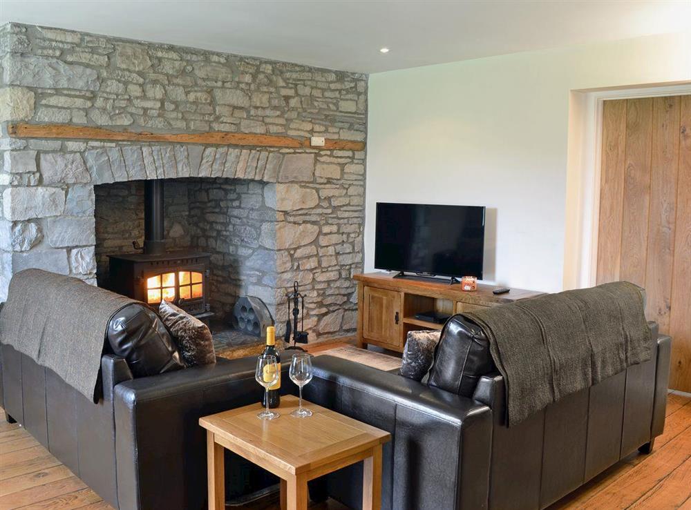 Living room area with cosy woodburner at Dolgoed House, 
