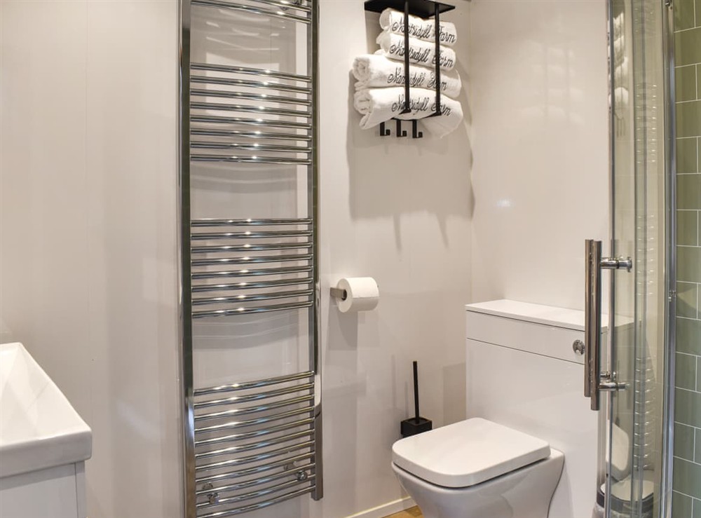 Bathroom at Centilen Pedr in Nansidyll, Dyfed