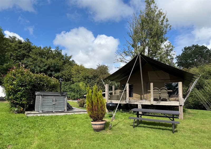 Outside at Ceri, near Newcastle Emlyn