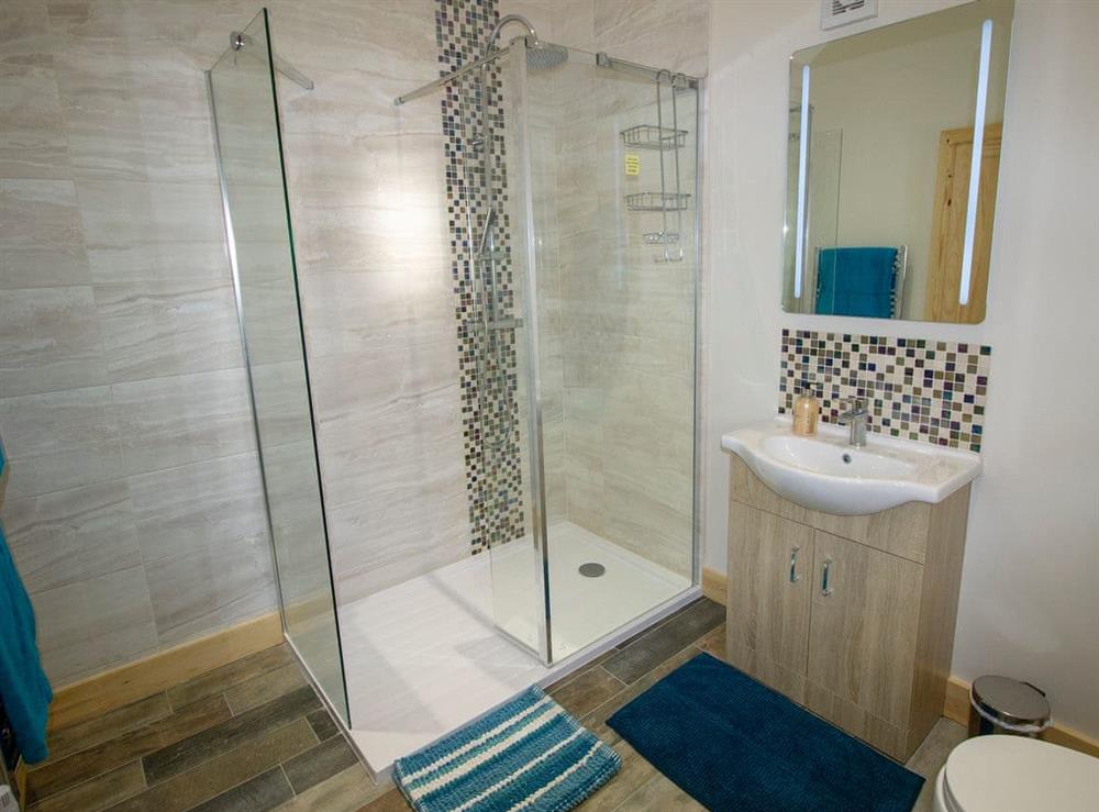 Modern shower room at Lapwing Cottage, 