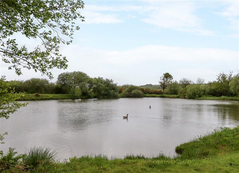 The setting of Chaffinch  at Moorhead Country Holidays