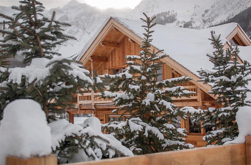 Chalet Honeycrisps