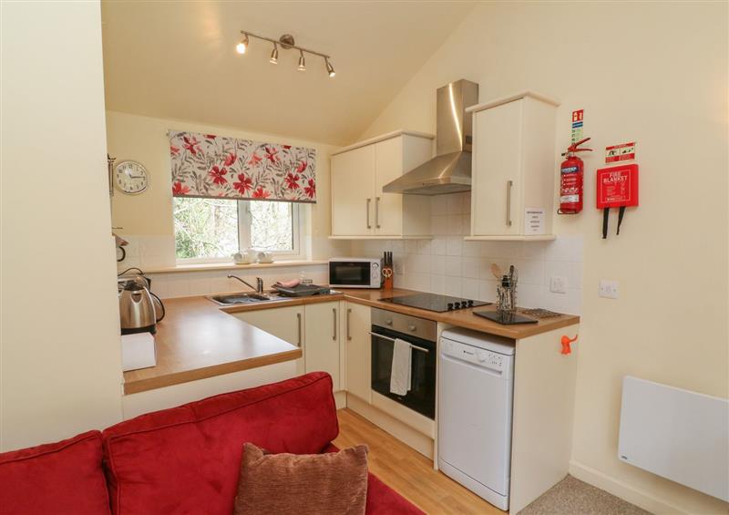This is the kitchen at Chalet Log Cabin C9, Combe Martin