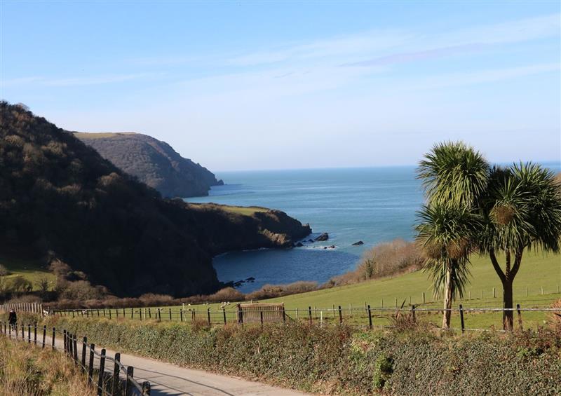 In the area at Chalet Log Cabin L3, Combe Martin