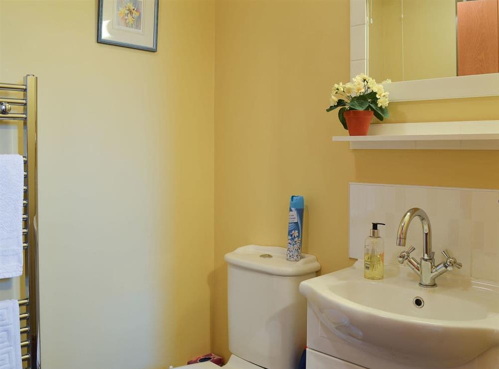Ground floor shower room at Chalgrove in Soar, near Brecon, Powys, Wales