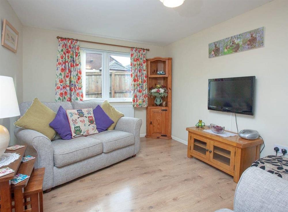 Living room (photo 3) at Challette at Timbertops in Washfield, near Tiverton, Devon