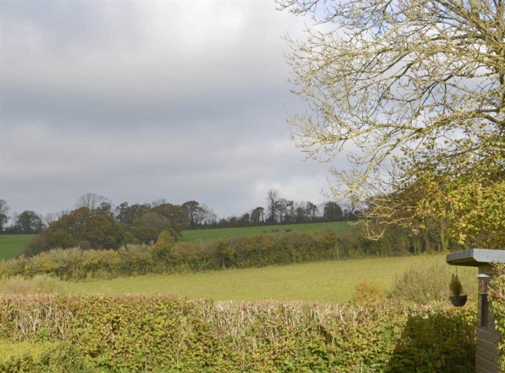 Lovely rural surroundings at Champernowe in Dartington, Totnes, Devon