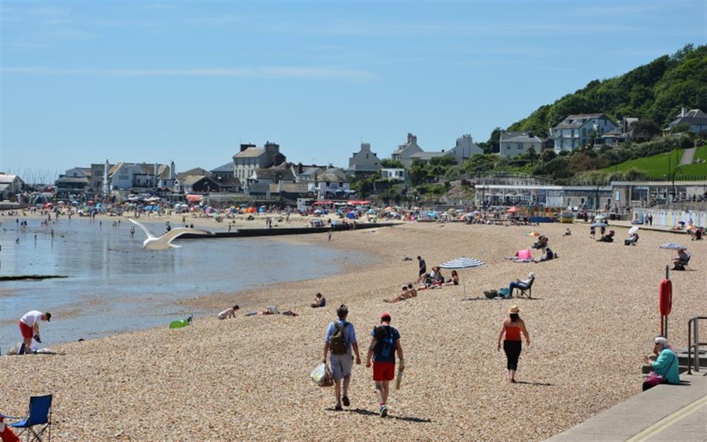 The beach at Lyme Regis at Chantry Cottage in Chard