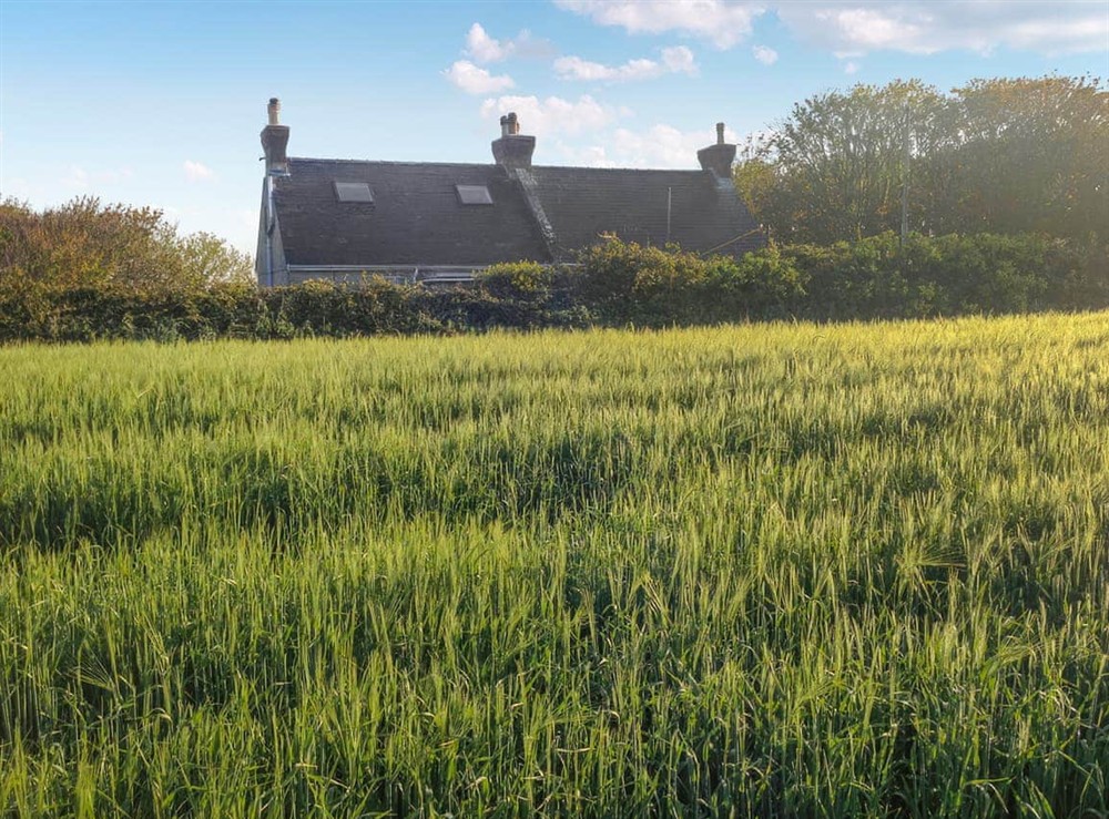 Setting at Chapel Bay Cottage in Anlge, near Pembroke, Dyfed