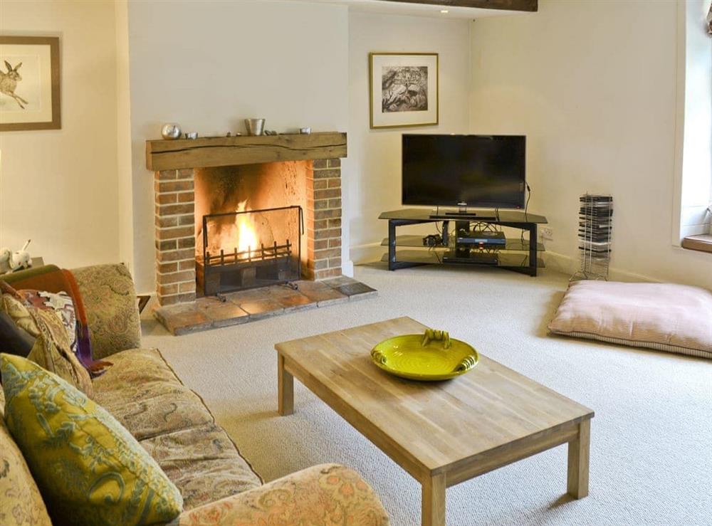 Living room at Chapel Cottage in Thornage, near Holt, Norfolk
