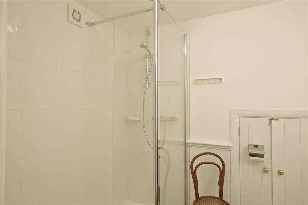 Shower room (lower ground floor) at Chapel House in , Dartmouth