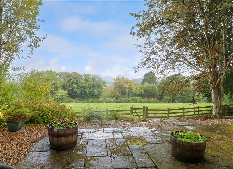 Rural landscape