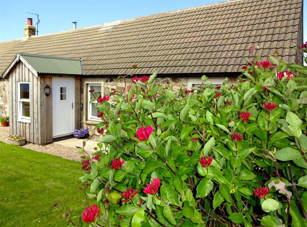 Delightful property at Charlies Cottage in Muasdale, near Campbeltown, Argyll