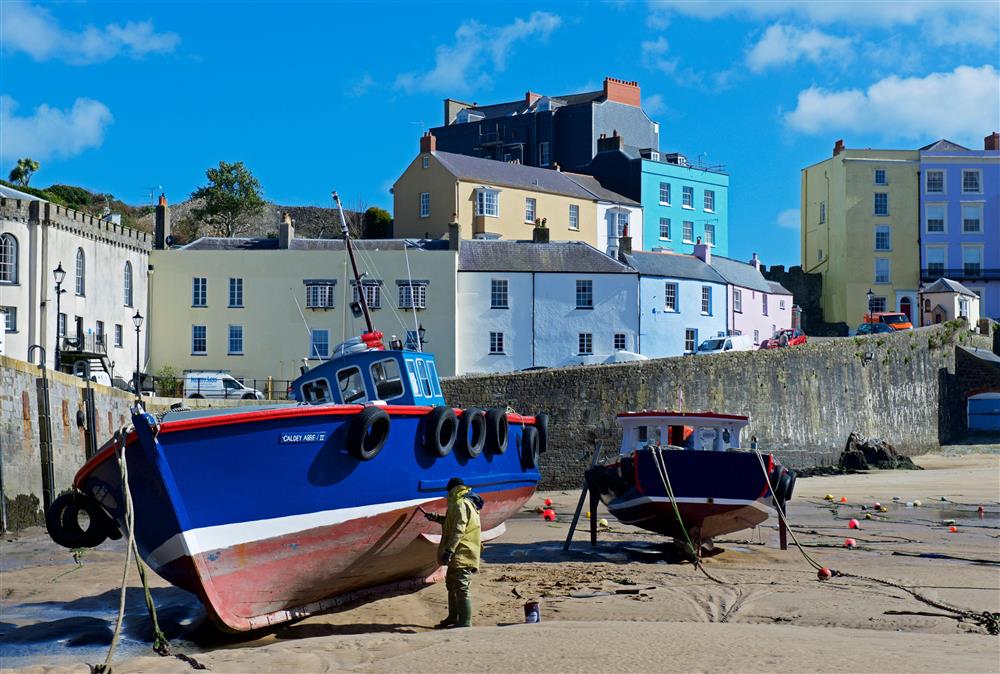 Picturesque harbour scene with pastel coloured houses as the backdrop