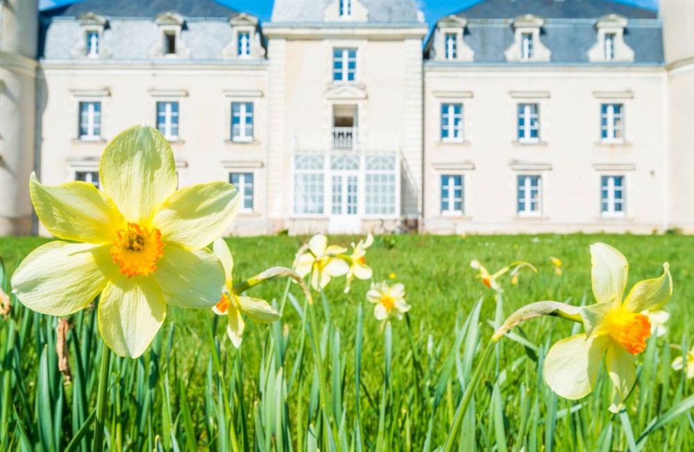 Chateau Cendrillon