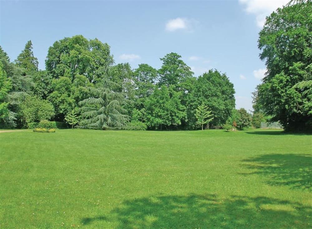 Outdoor area