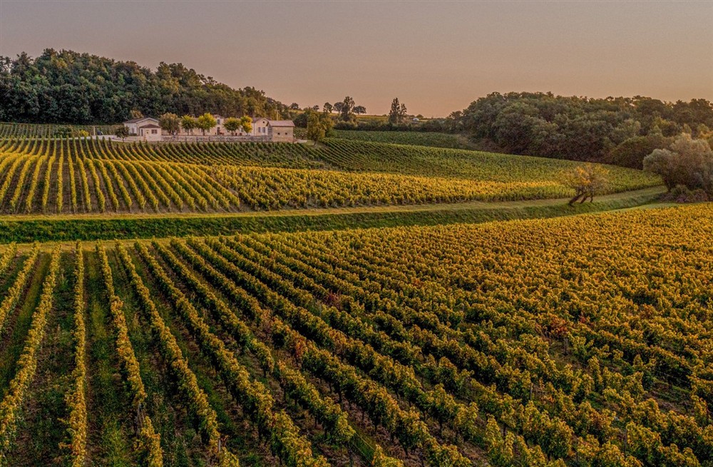 Chateau Des Etoiles