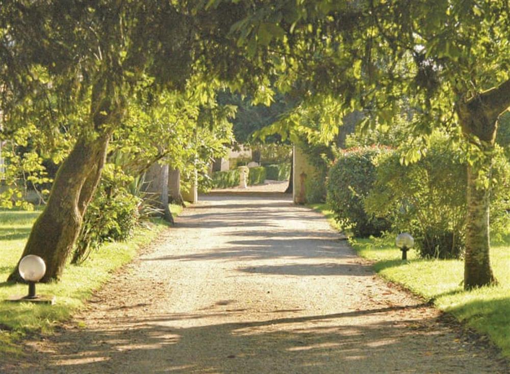 Surrounding area (photo 2) at Ch&acirc;teau du Treuil in Burie, Charente-Maritime, France