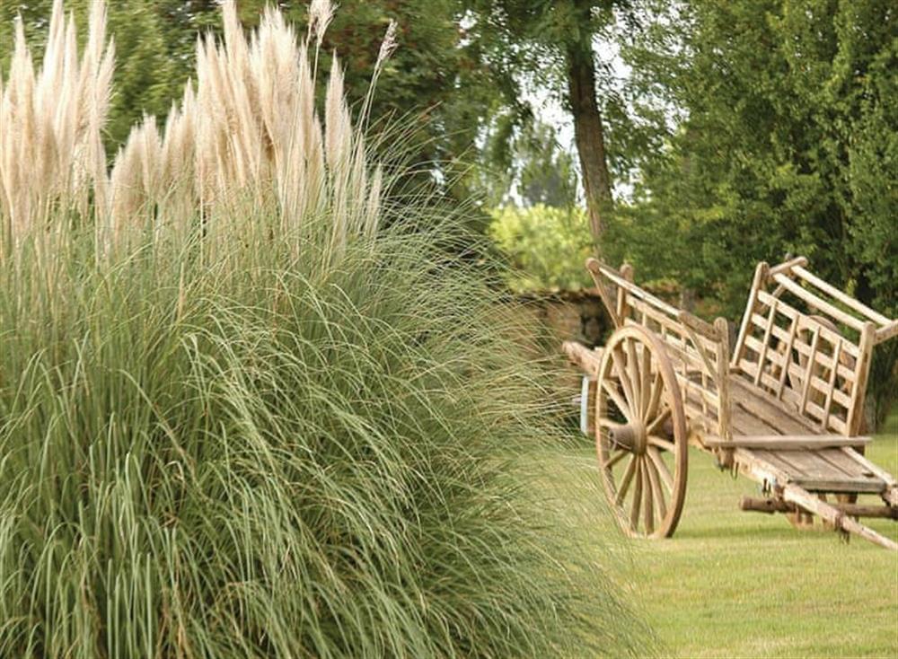 Surrounding area (photo 3) at Ch&acirc;teau du Treuil in Burie, Charente-Maritime, France