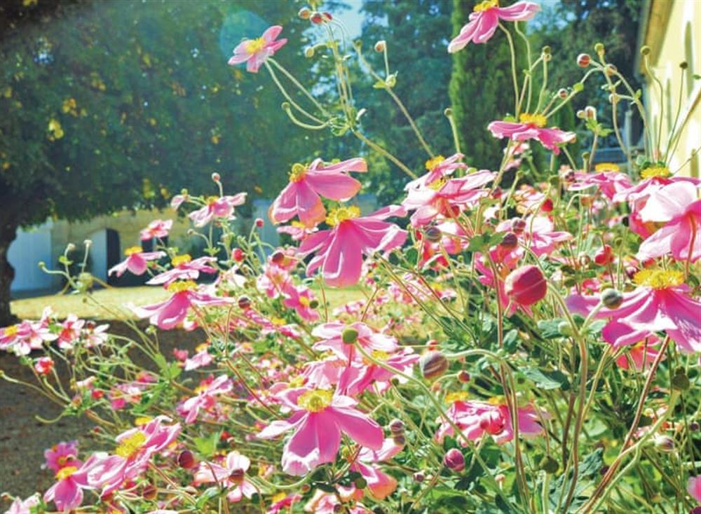 Surrounding area at Ch&acirc;teau du Treuil in Burie, Charente-Maritime, France