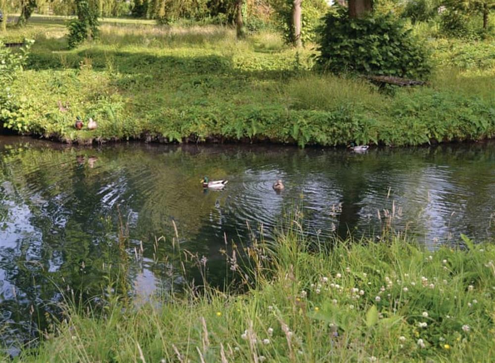 Outdoor area (photo 4) at Chateau Marconne in Marconne, Pas-de-Calais, France