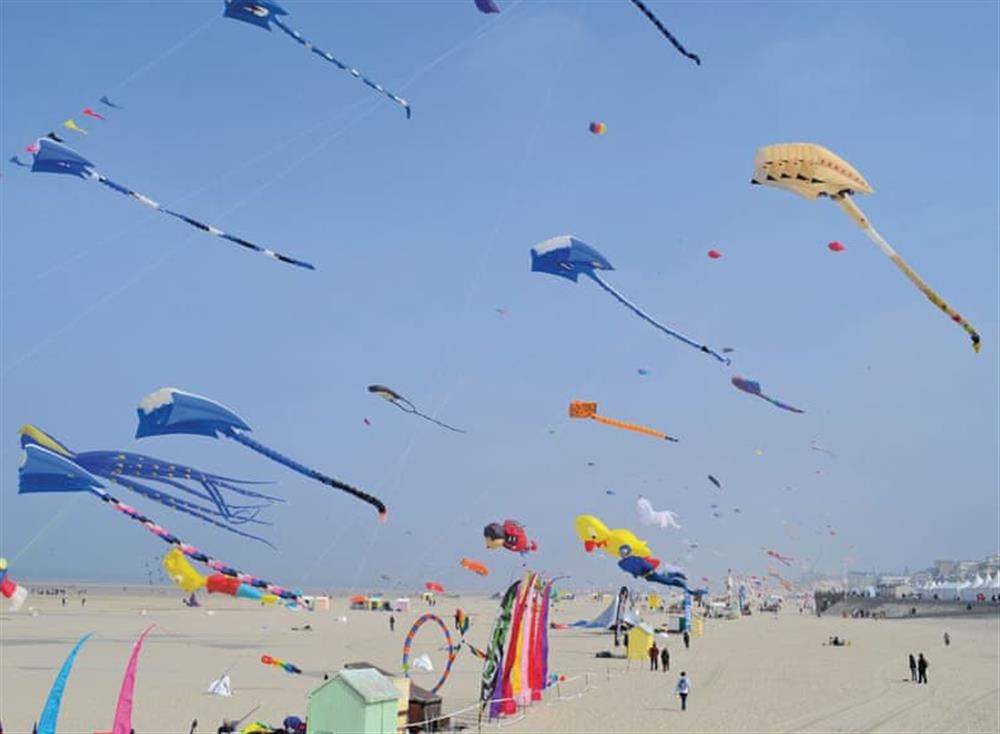 Surrounding area (photo 3) at Chateau Marconne in Marconne, Pas-de-Calais, France