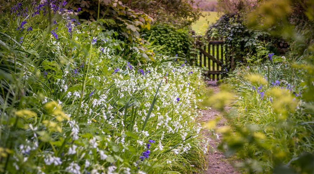 A path in the area surrounding Chatham, Cornwall at Chatham in Falmouth, Cornwall
