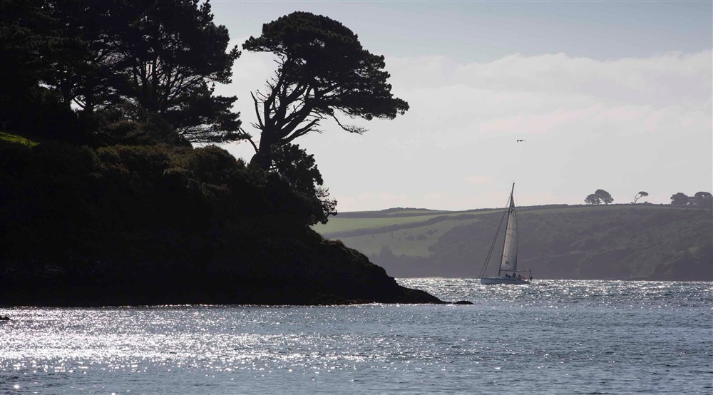 Sailboat and sunlight glinting on the Helford River at Chatham in Falmouth, Cornwall