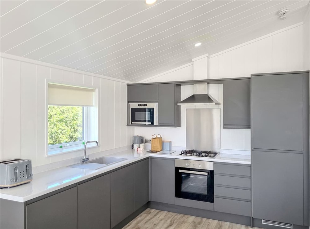 Kitchen area at Cherry Blossom 38 in Fitling, near Burton Pidsea, North Humberside