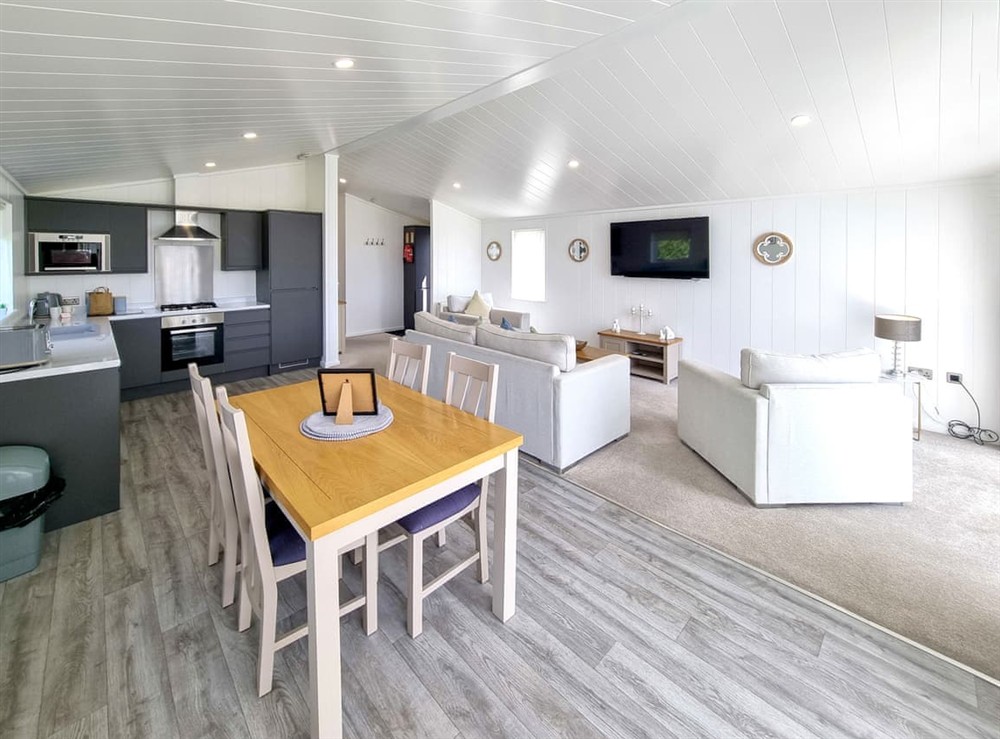 Open plan living space (photo 2) at Cherry Blossom 38 in Fitling, near Burton Pidsea, North Humberside