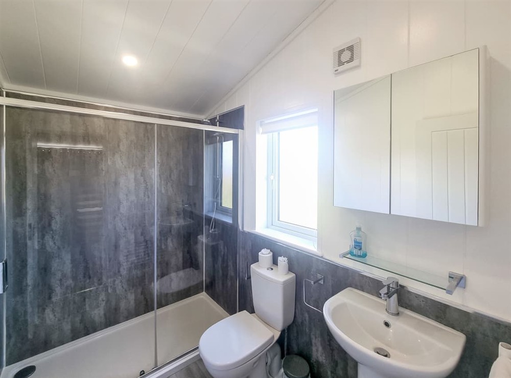 Shower room at Cherry Blossom 40 in Fitling, near Burton Pidsea, North Humberside