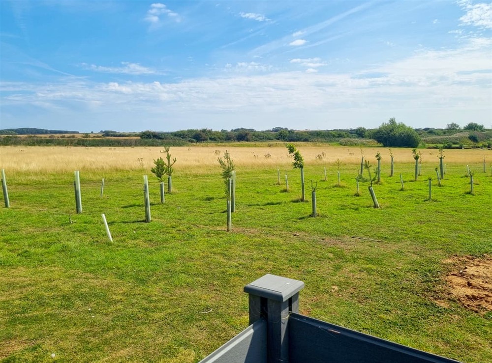 View at Cherry Blossom 40 in Fitling, near Burton Pidsea, North Humberside