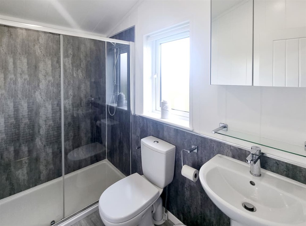 Shower room at Cherry Blossom 42 in Fitling, near Burton Pidsea, North Humberside