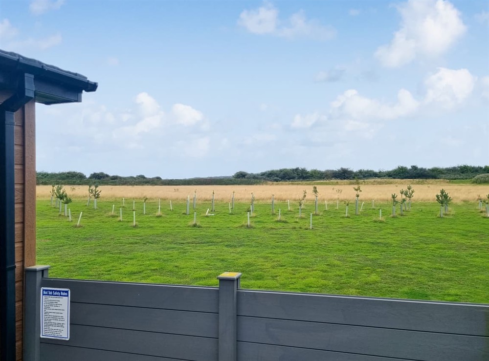 View at Cherry Blossom 42 in Fitling, near Burton Pidsea, North Humberside