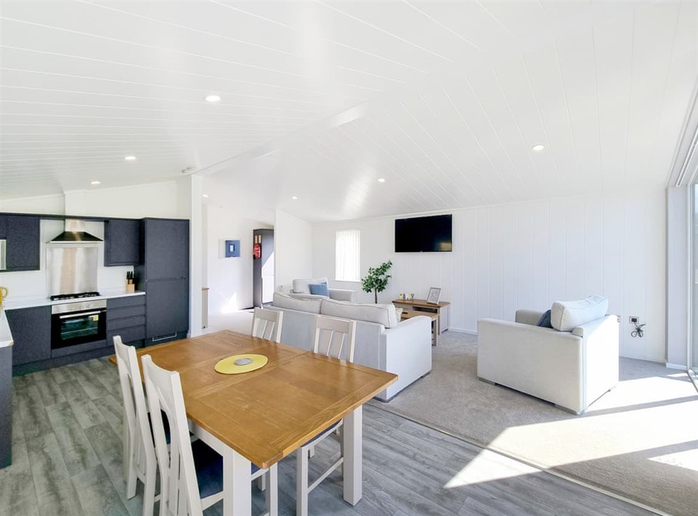 Open plan living space at Cherry Blossom 43 in Fitling, near Burton Pidsea, North Humberside