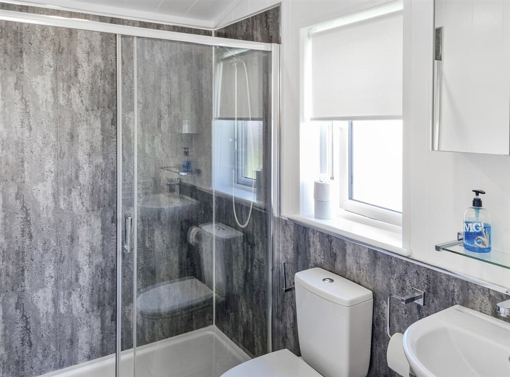 Shower room at Cherry Blossom 43 in Fitling, near Burton Pidsea, North Humberside