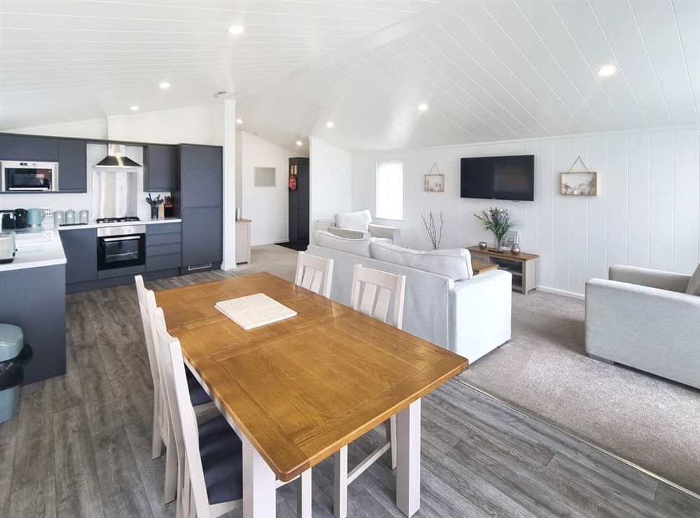 Open plan living space (photo 3) at Cherry Blossom 48 in Fitling, near Burton Pidsea, North Humberside