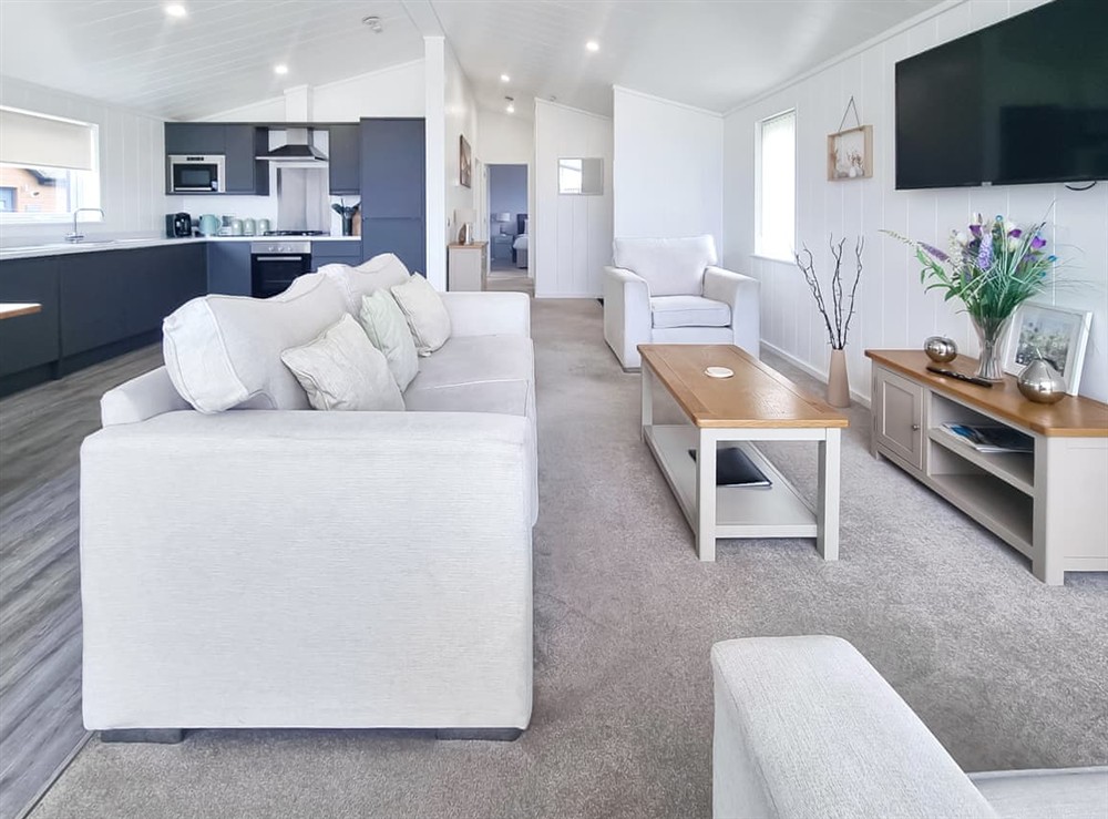 Open plan living space at Cherry Blossom 48 in Fitling, near Burton Pidsea, North Humberside