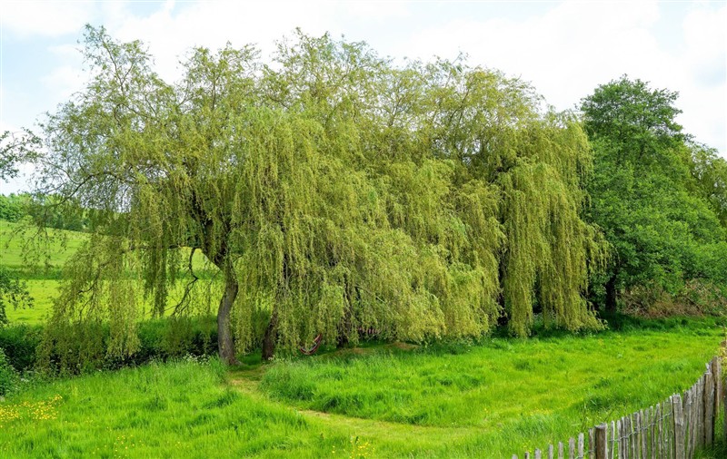 Outside (photo 2) at