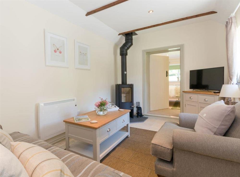 Cosy living area with wood burner at Cherry Blossom in Pickering, North Yorkshire