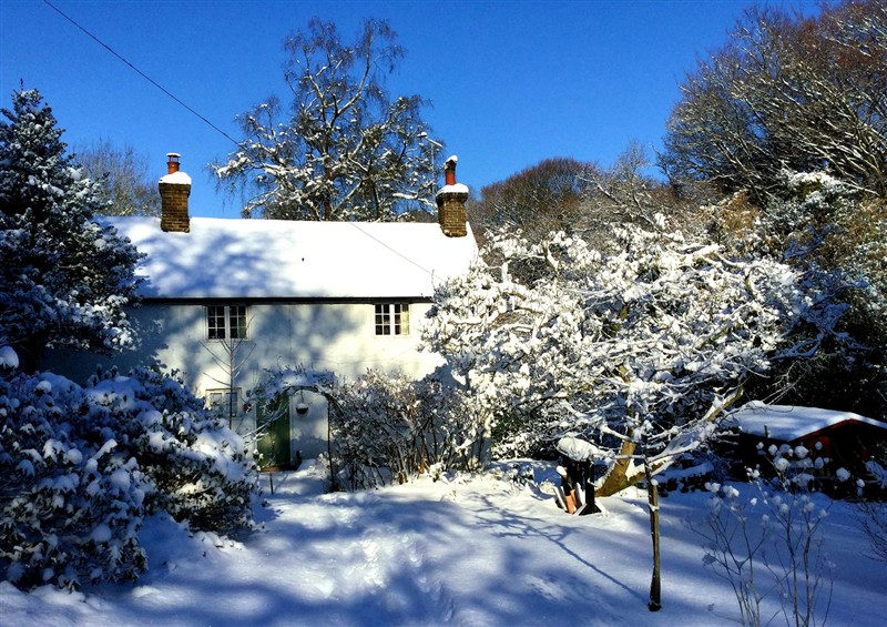 Outside at Cherry Cottage, Crowborough
