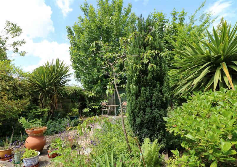Garden at Cherry Lodge, Newark-on-Trent, Nottinghamshire
